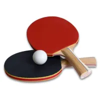 Stoni tenis