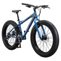 Fat Bike