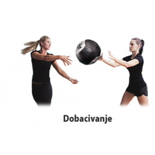 Wall Ball lopta za bacanje 9 kg sa ručkama 