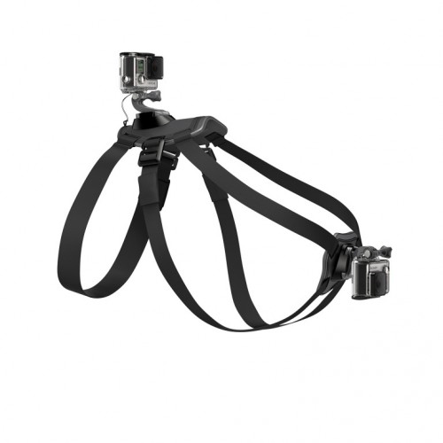 Nosač za pse GOPRO Fetch (Dog Harness)