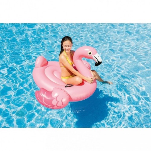 Dušek Za Vodu Flamingo Ride On 3+