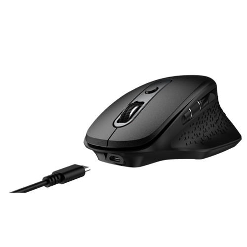 Ergo Pro Wireless Mouse