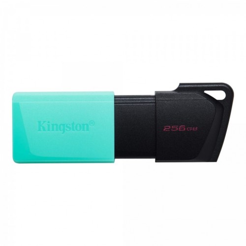 USB memorija KINGSTON DTXM/256GB/DataTraveler Exodia/3.2/crna