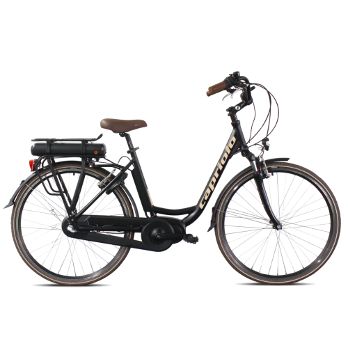 Električni bicikl Diana e-bike