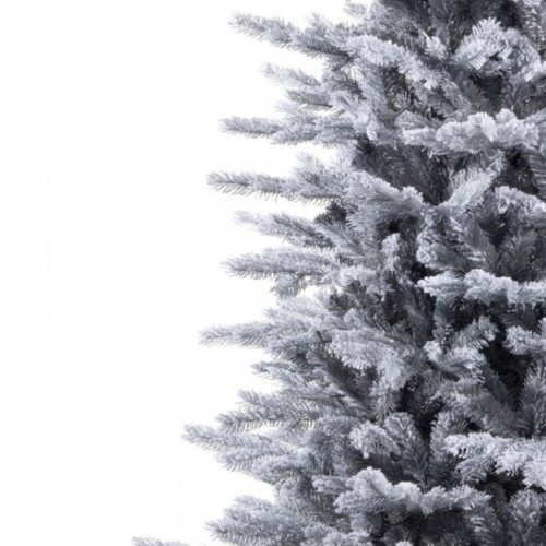 Novogodišnja jelka Grandis fir frosted Everlands 210cm
