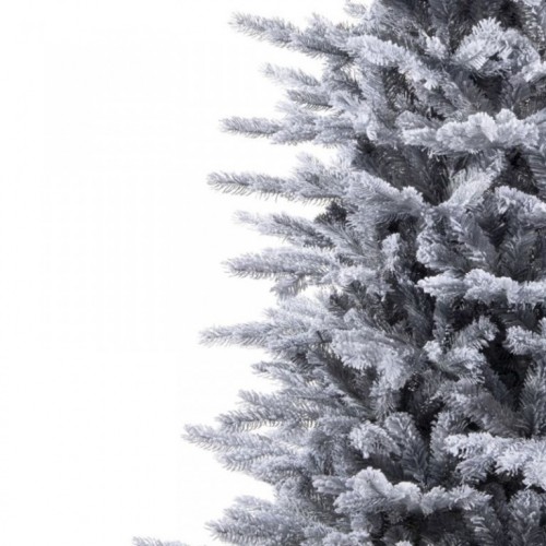 Novogodišnja jelka Grandis fir frosted Everlands 240cm