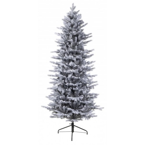 Novogodišnja jelka Grandis fir frosted 180cm