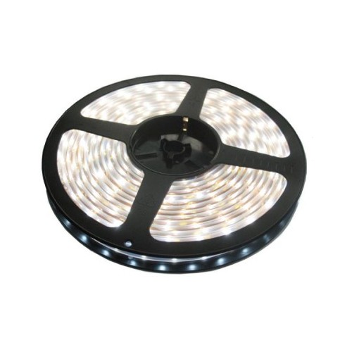 LED traka dnevno svetlo 60 LED / 1m LTR5050/60W-12S