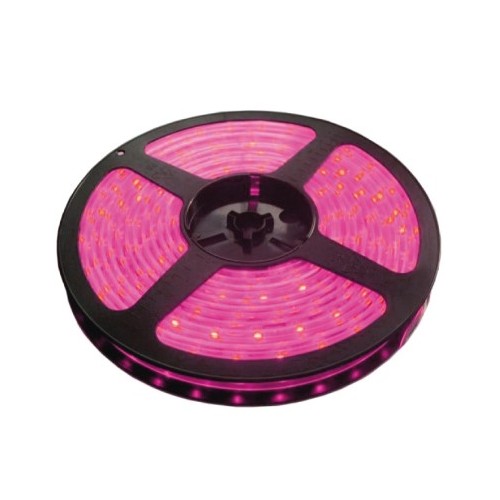 LED traka roza 60 LED / 1m LTR3528/60P-12
