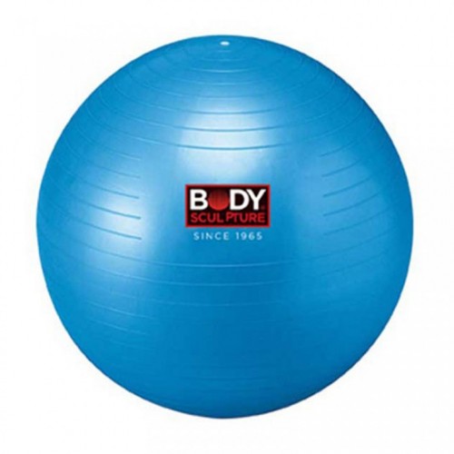 Lopta za pilates 65cm BB-001 blue