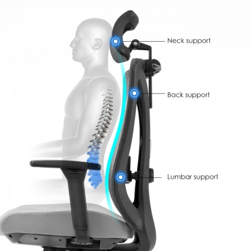 Ergonomska radna stolica PRIM
