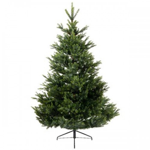 Novogodišnja jelka Arlberg fir 210cm x 142cm Everlands