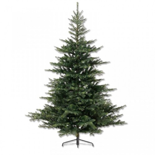 Novogodišnja jelka Grandis fir Everlands 180cm
