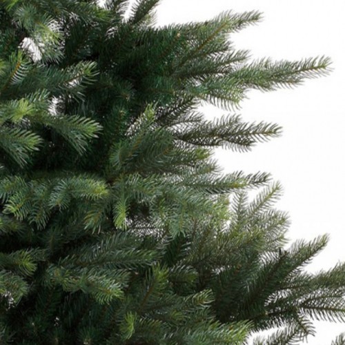 Novogodišnja jelka Grandis fir Everlands 180cm