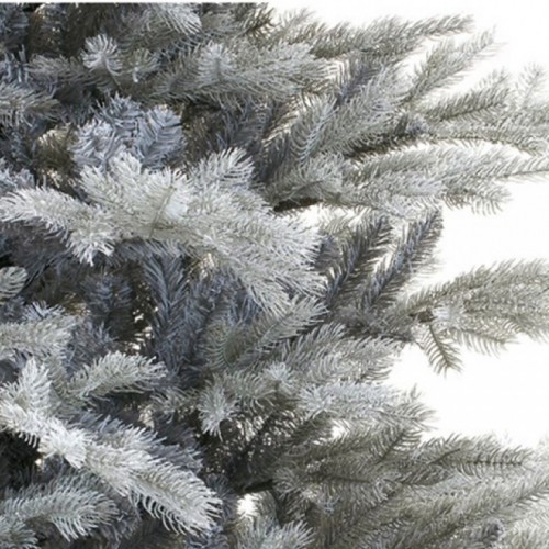 Novogodišnja jelka Grandis fir frosted Everlands 180cm