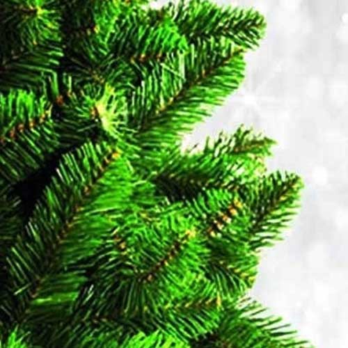 Ekstra gusta novogodišnja jelka Norway Spruce 240 cm