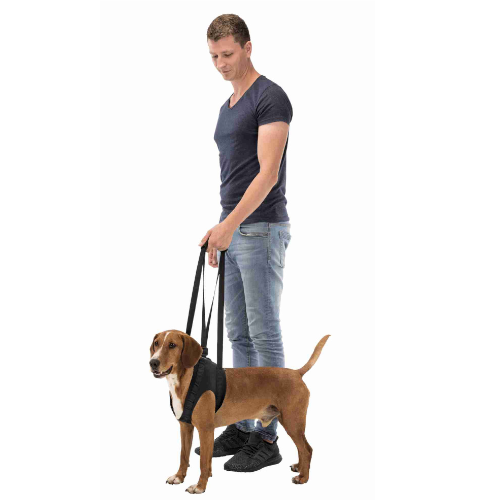 Pojas za pomoć pri kretanju psa Walking Aid do 25 kg
