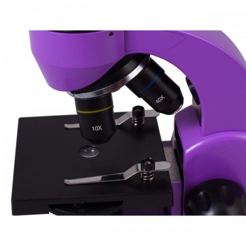 Rainbow 50L Levenhuk Amethyst Microscope