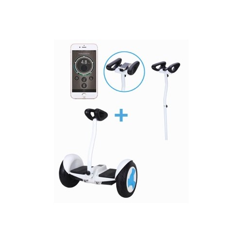 Mini segway balans skuter RD-9 10" white LG