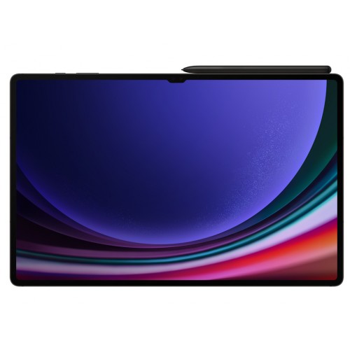Samsung Galaxy Tab S9 Ultra 12GB/512GB 5G siva (SM-X916BZAEEUC) 