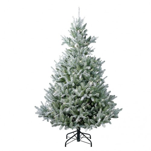 Novogodišnja jelka Snowy Grandis Fir 180 cm