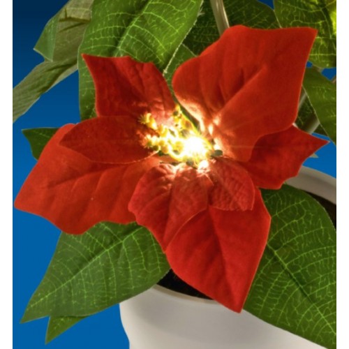 Ukrasno cveće Božićna zvezda 35 cm sa LED diodama SCF5