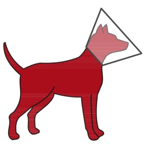 Zaštitna kragna za psa sa čičak trakom 36-43 cm