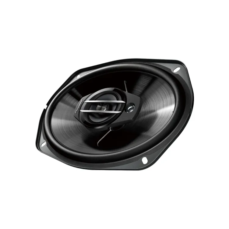 Pioneer auto zucnici 45W