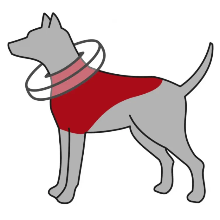 Plutajuća kragna plava S-M