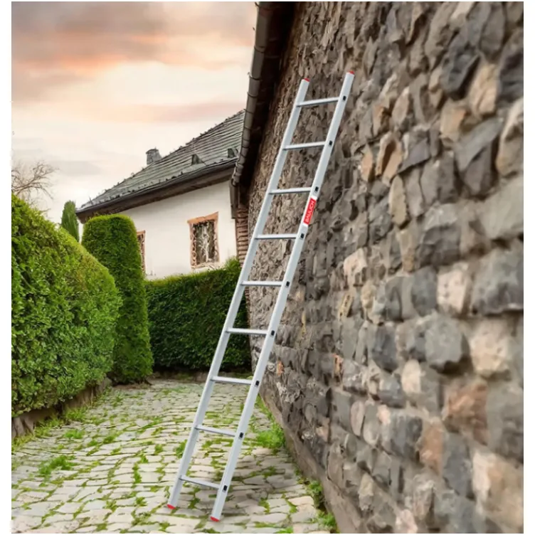 BAULICH 1x9 Jednodelne Aluminijumske Merdevine PRO