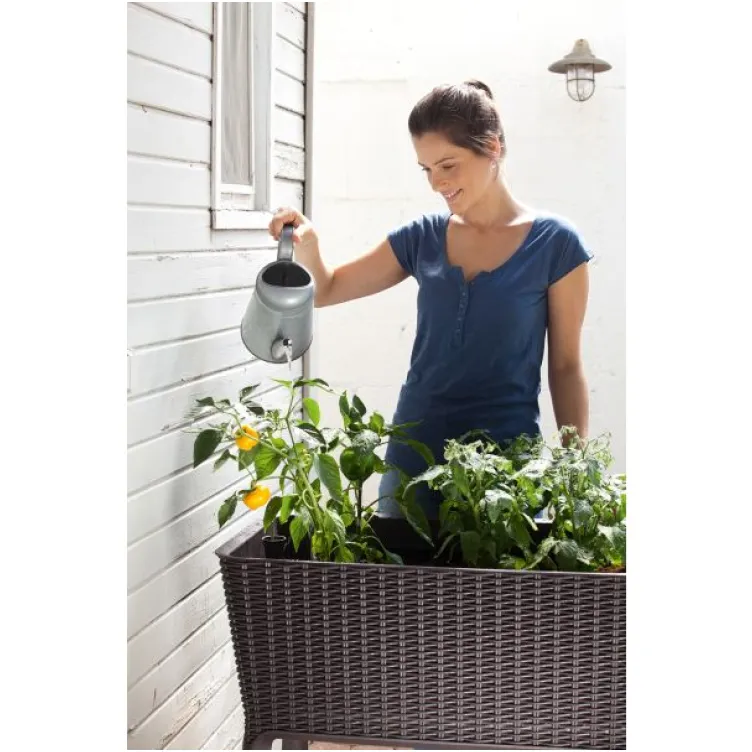 Saksija za mini baštu Easy grow 120L Viski braon