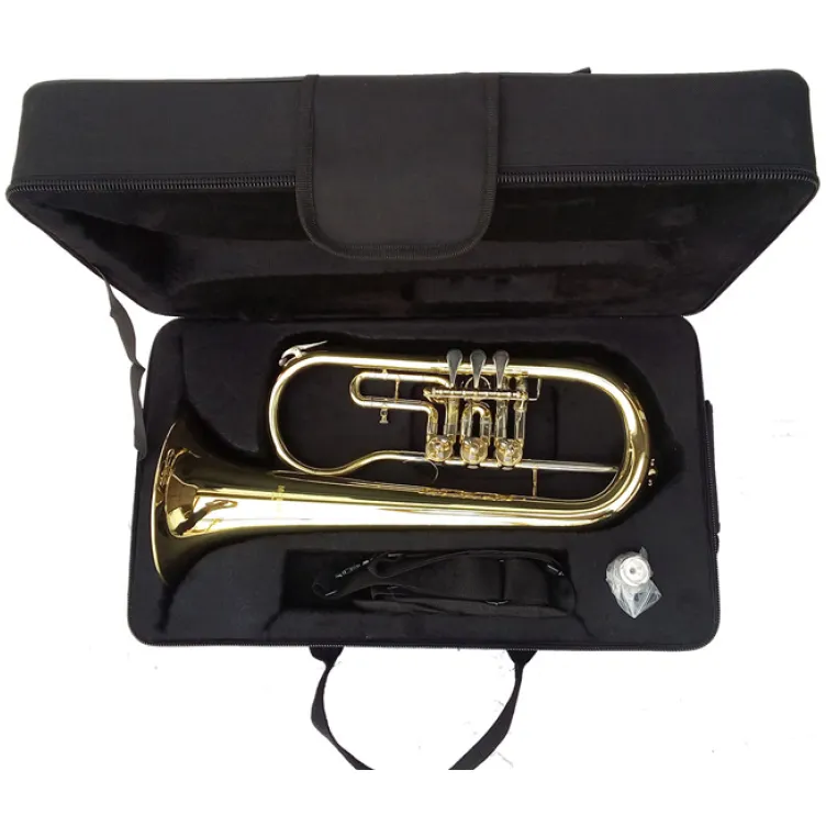 Fligorna Moller FH-819LR