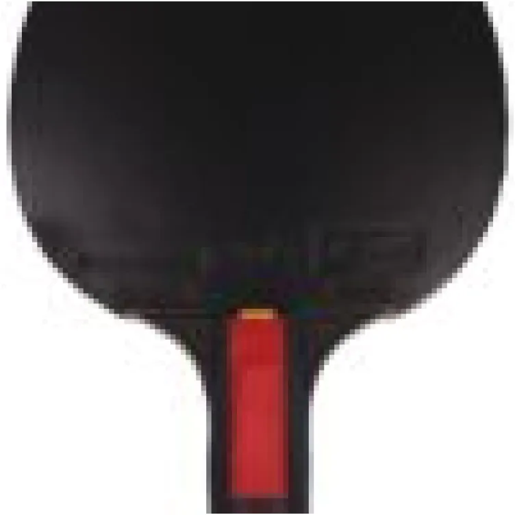 Reket za stomi tenis Dimitrij Ovtcharov Ruby