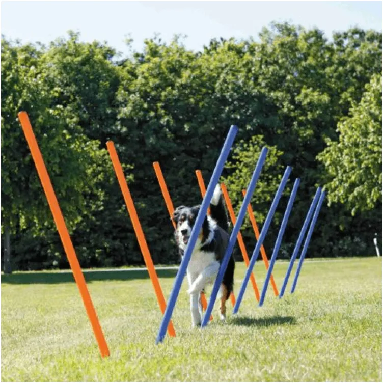 Agility trening slalom štapovi TRIXIE 