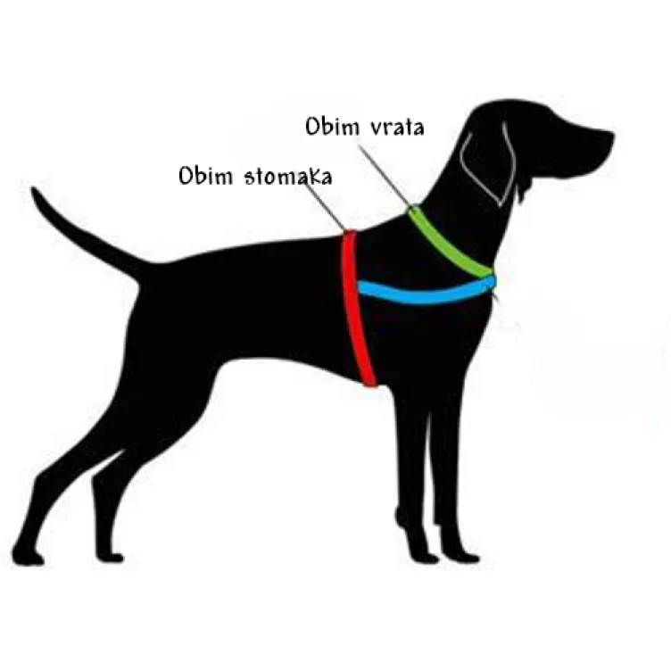 Am za psa Premium sa postavom crni XS