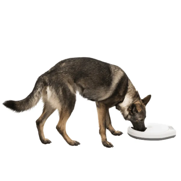 Automatska hranilica za pse TX5 Trixie 