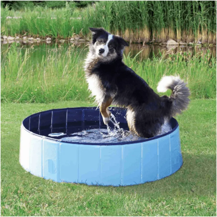 Bazen za psa 80x20 cm Trixie