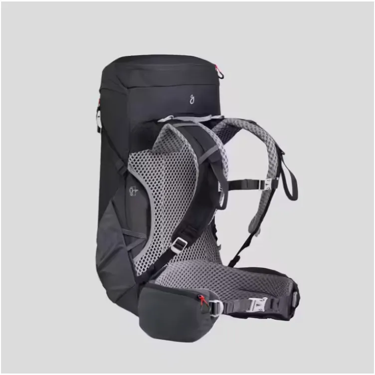 Quechua ranac za planinarenje  20L crna 
