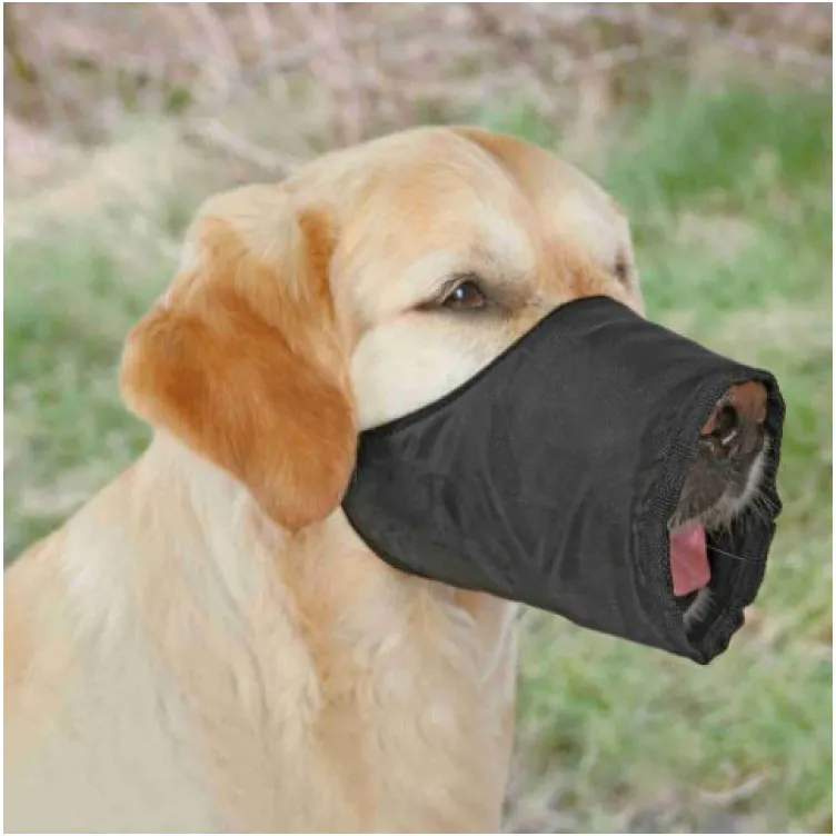 Brnjica za pse 28 cm