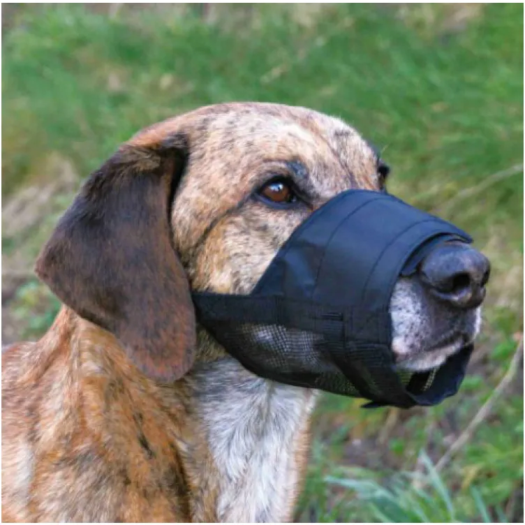 Brnjica za Pse sa Donjom Mrezom 22-34 cm