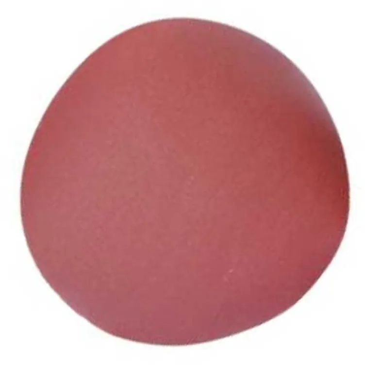 Brusni papir FI 230 mm set 10 kom