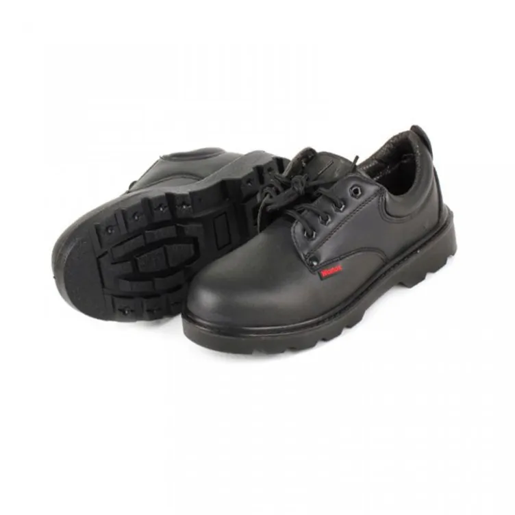 Plitke cipele veličina 42 BZ 