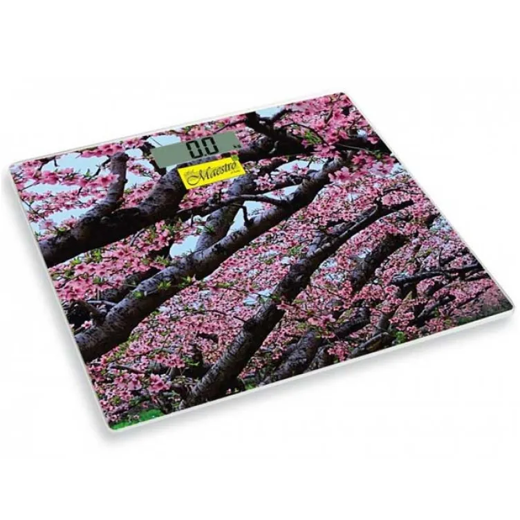 Digitalna telesna vaga Maestro MR1823