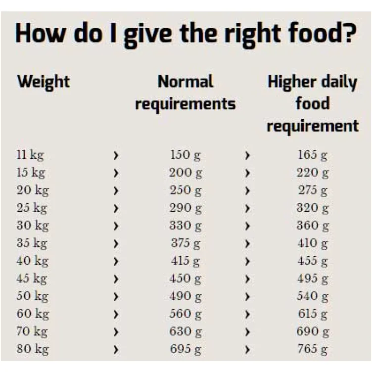 Hrana za pse Happy Dog Supreme Fit & Well Senior 1kg