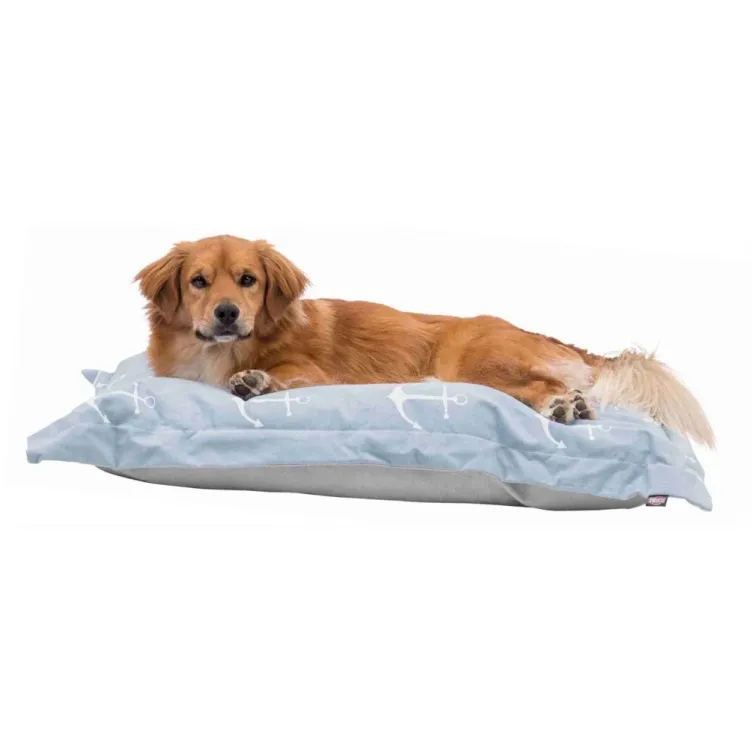 Jastuk Ancora 70x55 cm