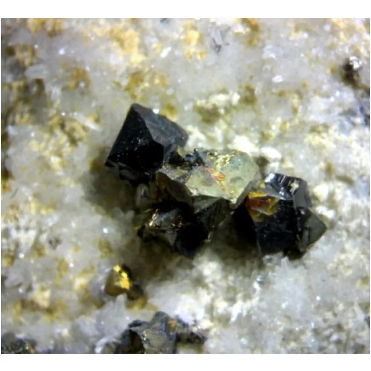 Mikroskop 2.0Mpix MicroQ digitalni