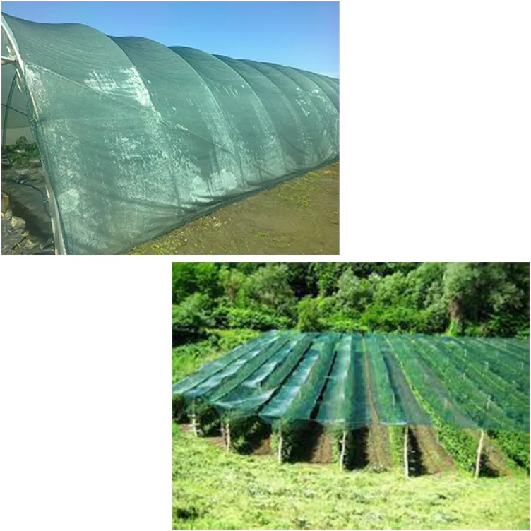 Mreža za senčenje 3.6x50 m UV Stabilna