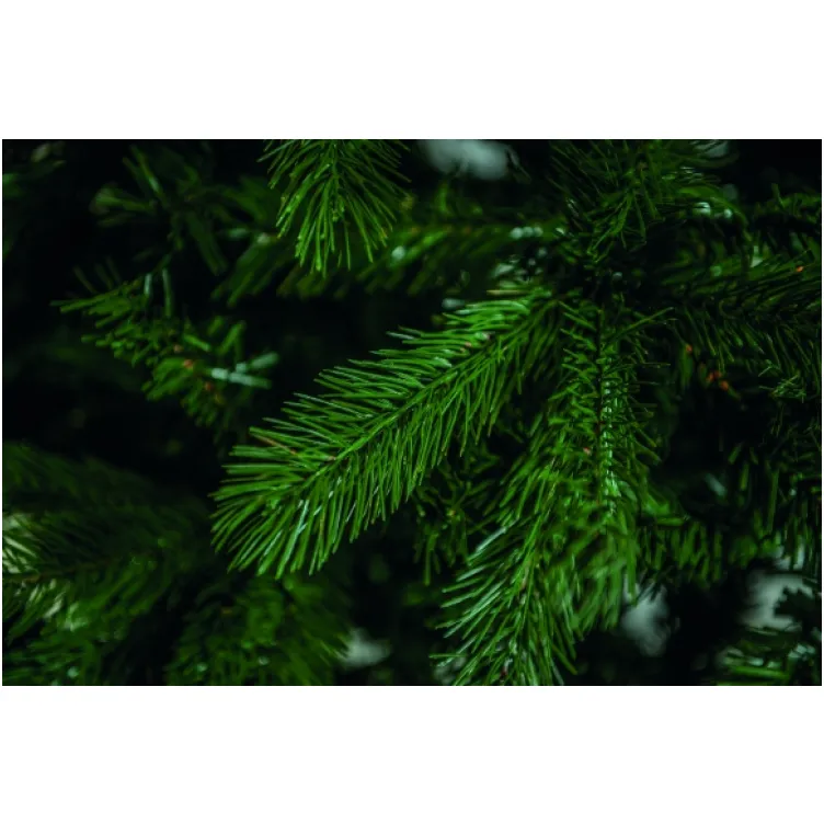 Novogodišnja jelka Lungo Mix 210 cm