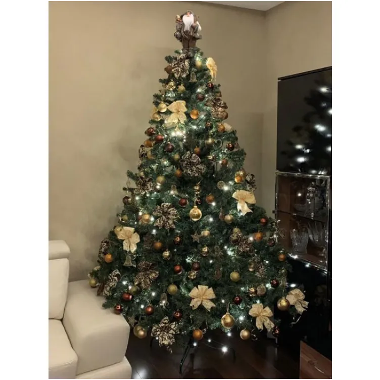 Novogodišnja jelka Nordmann Supreme 240 cm