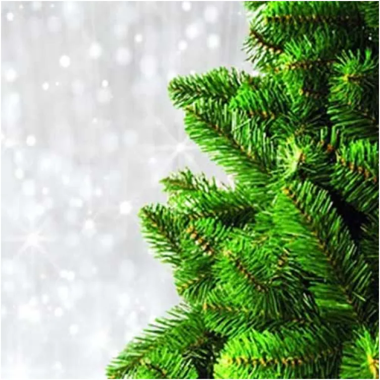 Ekstra gusta novogodišnja jelka Norway Spruce 150 cm